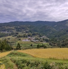 4年ぶりの再会