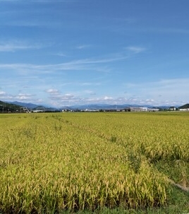 快適抱っこ